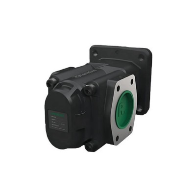 RICKMEIER齒輪泵R46/180 FL-K-WD-SA
