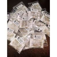 C18 C8預柱液相色譜保護柱scienhome